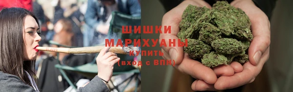 2c-b Бородино