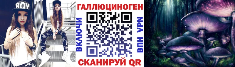 Купить  Никольск  Галлюциногенные грибы MAGIC MUSHROOMS 